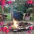 Sandy Niebell's profile image