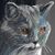 Catherine Hunter's profile image
