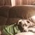 Nelly Canales's profile image
