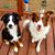 LeAnn Shackelford's profile image