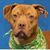 Dottie Schulte's profile image