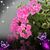 Sandy Rice's profile image