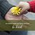 Kathleen Rosing's profile image