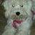 Joan Whitford Stjean's profile image