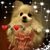 Traci Bauman's profile image