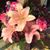Anna Johnson's profile image