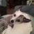 Dorcas Beall Winberg's profile image