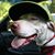Tony Russo's profile image