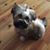 Theresa Johnson Patrick's profile image