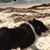 Sandra Warren Fisher's profile image