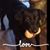 Kathy Nelesen's profile image