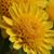 Jane-Winkler Richmond's profile image