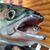 Steve Walsh's profile image