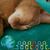 Cats Sheely's profile image