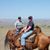 Michele Dietsch Whitlock's profile image