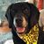 Cheryl Wohlmuth's profile image