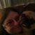 Sandy Hopkins Tomes's profile image