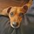 Tracy 'Selles' Cherry's profile image
