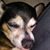 Don Leclair's profile image