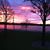Theresa Cooper Merletti's profile image