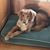 Rebecca McSwain's profile image