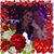 Habib Hayat Azouri's profile image