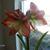 Shirley Gallagher's profile image