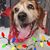 Robin Kull Alexander's profile image