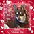 Brenda W. Kelly's profile image