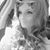 Laura Krueger's profile image