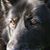 Sharon Hopko's profile image