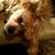 Myrle Jones's profile image