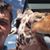Mathew Creede Fowler's profile image