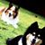 Debra Thompson's profile image