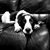 Jill Nuss's profile image
