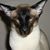 Lorri Robinson's profile image