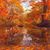Neallean Passen Milner's profile image