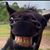 David Miller's profile image