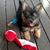 Cindy Hestermann Bottger's profile image