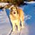 Sandy Blumenthal's profile image