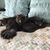 Kathy Murtagh's profile image