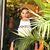 Kassidy Mi'chal's profile image