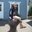 Trish Roberts's profile image