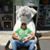 Richard Williams's profile image