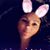 Elaine DeCarlo Doyle's profile image