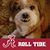 Vann Holland's profile image