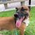 Jose Antonio Quevedo Sr.'s profile image