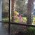 Debbie Maciariello's profile image