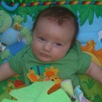 Carol Dieckgrafe's profile image