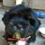 Pufy Carduran's profile image